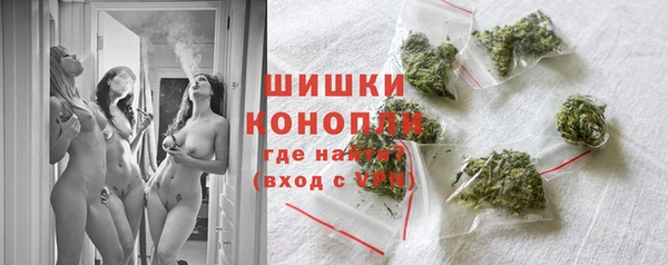 крисы Верея