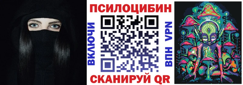 Галлюциногенные грибы Psilocybe  где продают   Буй 